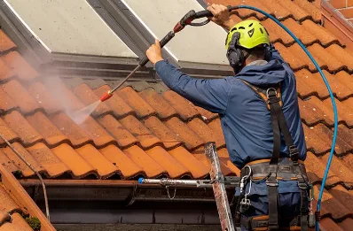 Démoussage et hydrofuge de toiture à Chapelle-Taillefert